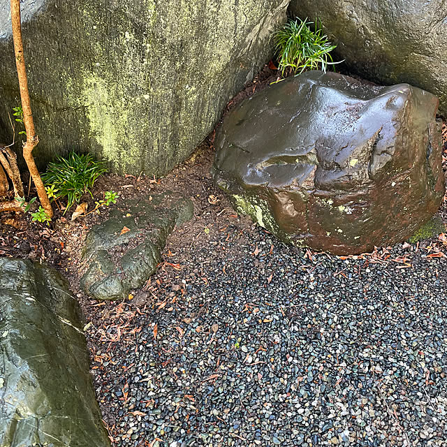 shin0719さんの部屋