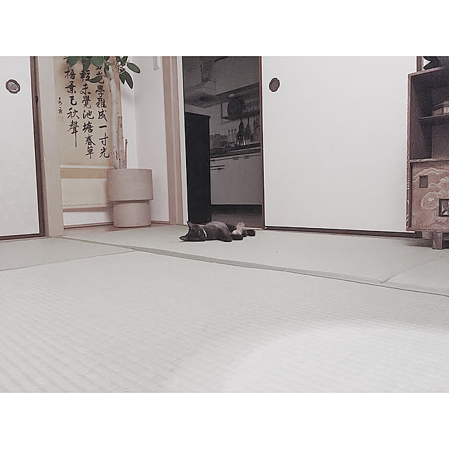 SHIOKONBUさんの実例写真