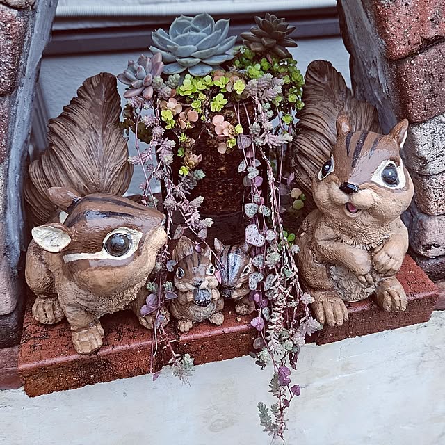 mocomocoさんの部屋