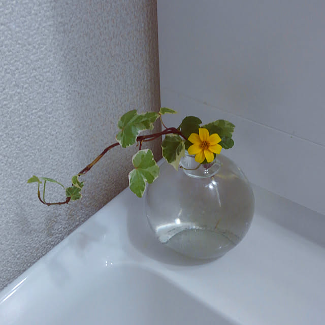 katuさんの実例写真