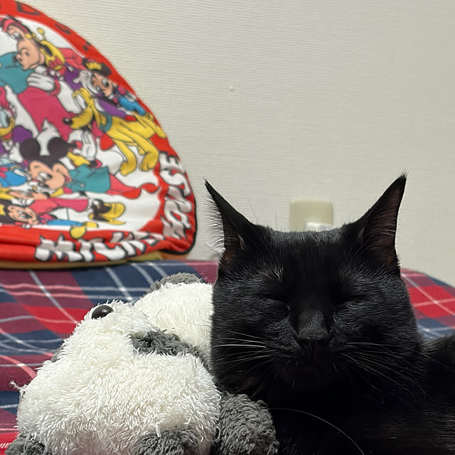 makiさんの実例写真