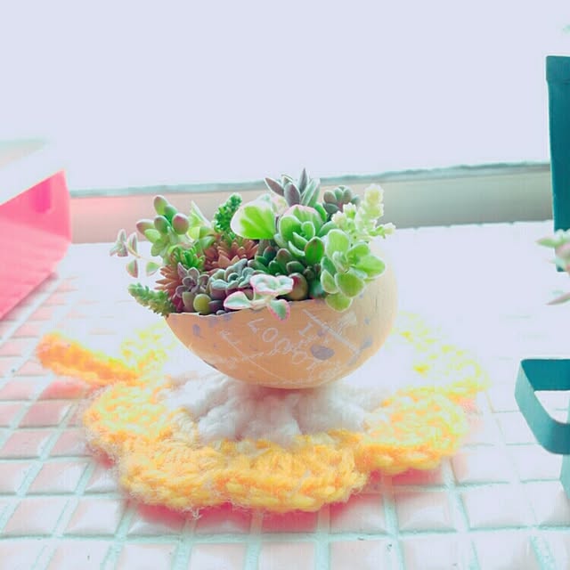 Michieさんの実例写真