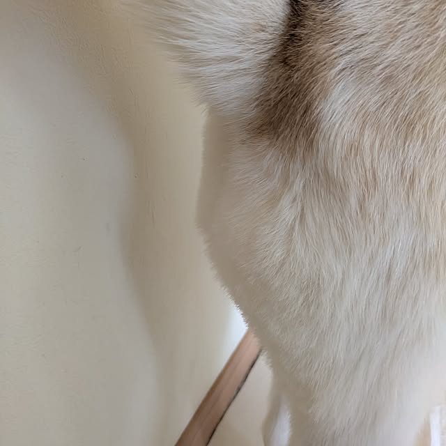 asaさんの部屋