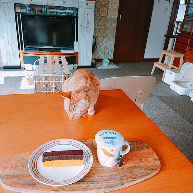 kikiさんの実例写真