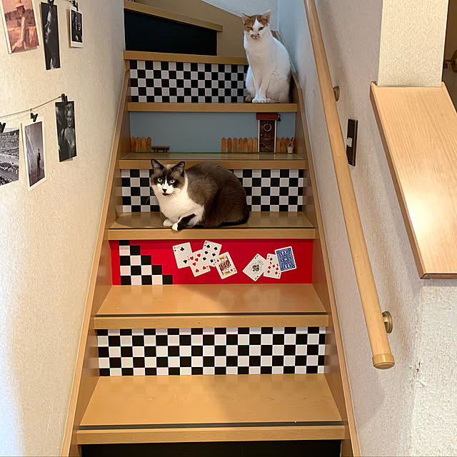 ねこのいる風景/階段リメイク/妖精のドア/小人のドア/アリス風...などのインテリア実例 - 2021-12-13 19:59:45
