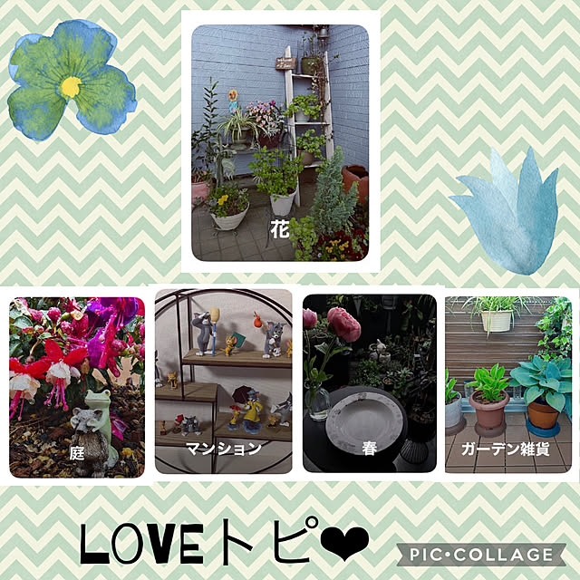 CoCo0617さんの実例写真