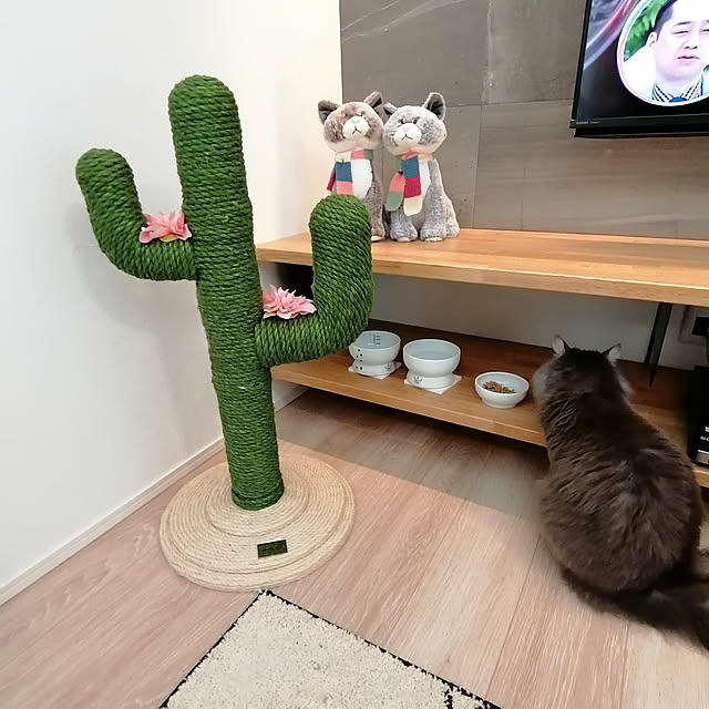 asukaさんの実例写真