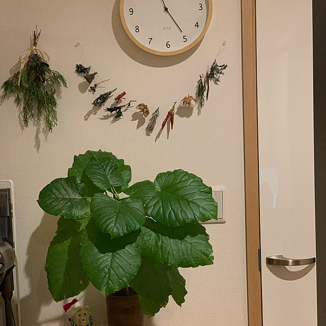 kekokekoさんの実例写真