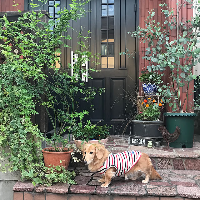 bibianさんの実例写真