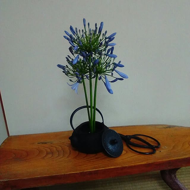 satochiさんの実例写真