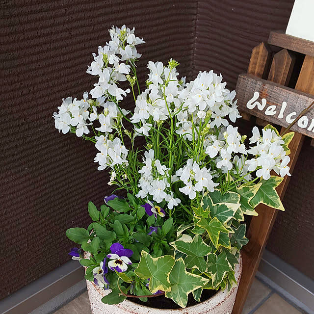 KOHAKUさんの実例写真