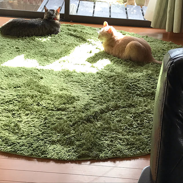 mikan161さんの実例写真