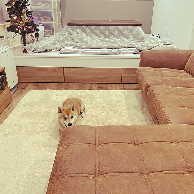 maachanさんの実例写真