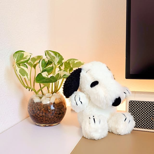 esakaさんの部屋