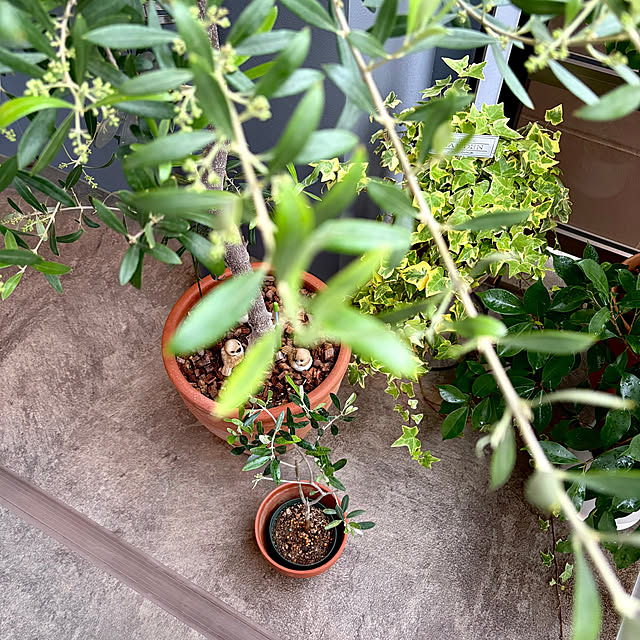 up0524さんの部屋