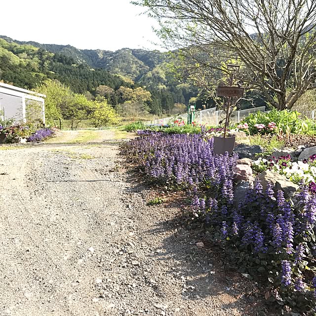 pepeさんの実例写真
