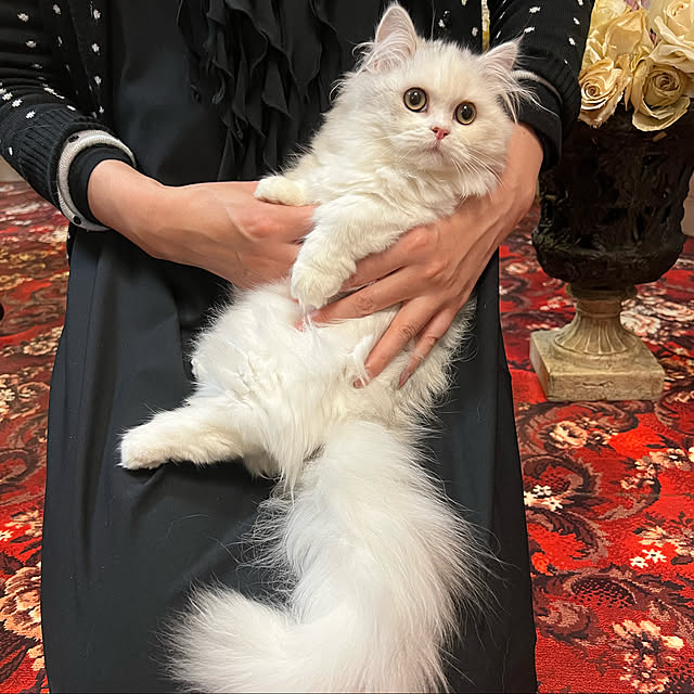 AYUKOさんの実例写真