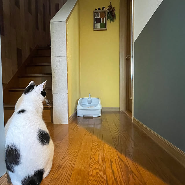 nobikoさんの実例写真