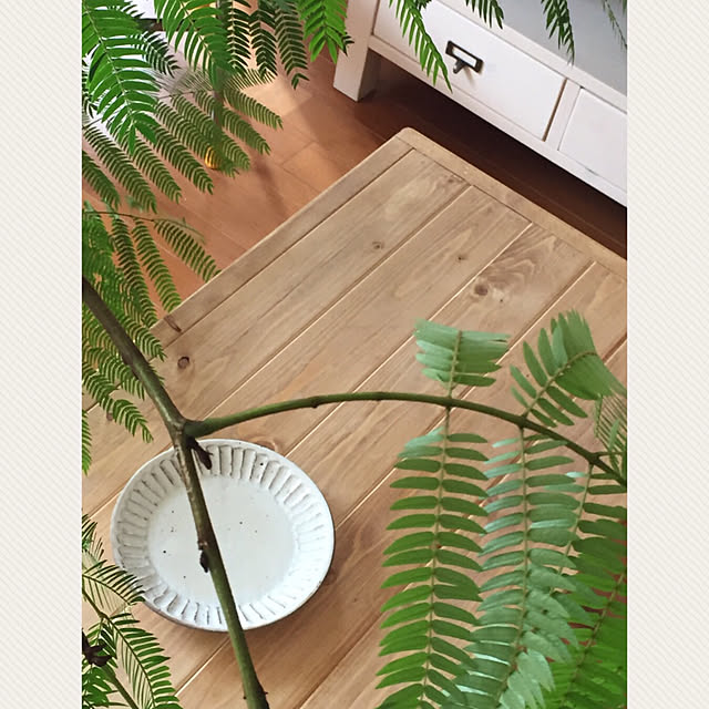 kumiさんの実例写真