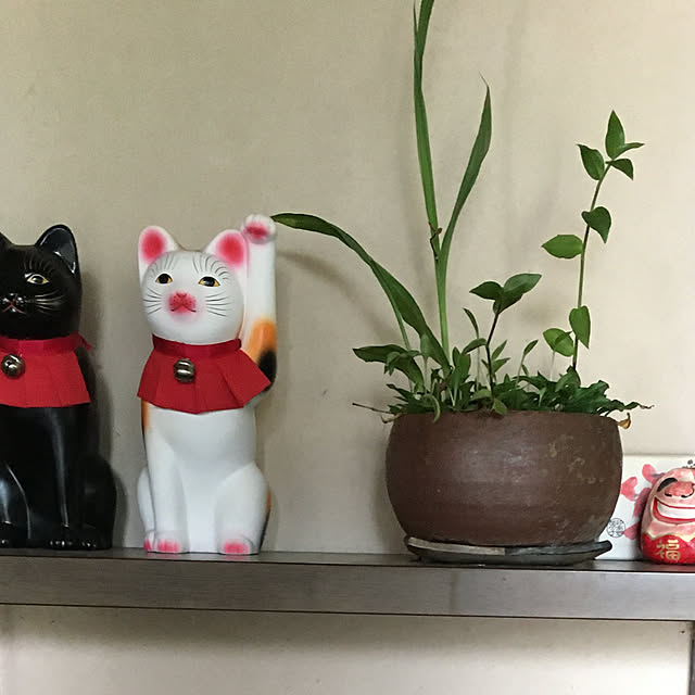 ColonPapaさんの実例写真