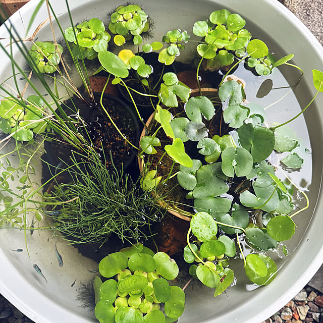 onsix777さんの部屋