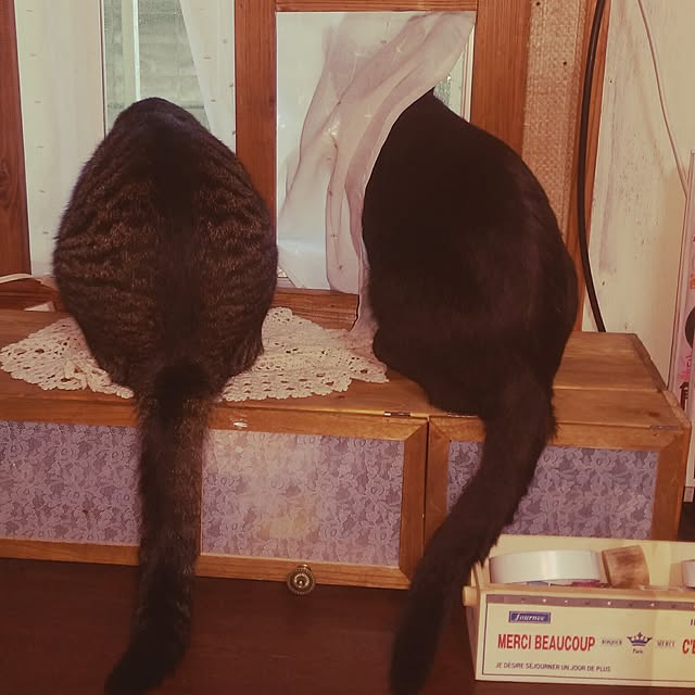 OKANさんの実例写真