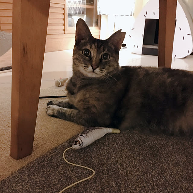 oasisさんの部屋