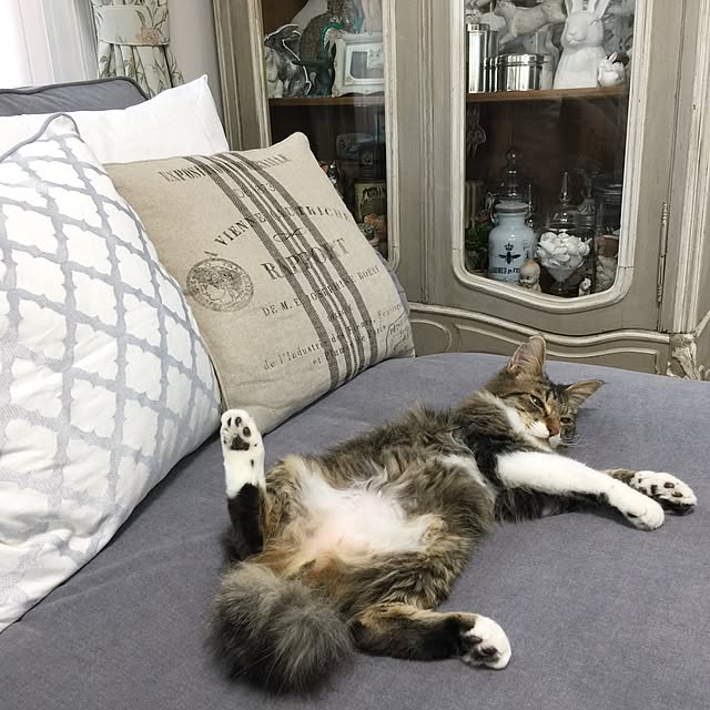yuchiさんの実例写真