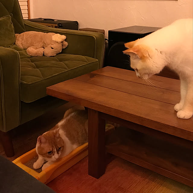 sakurasakuさんの実例写真