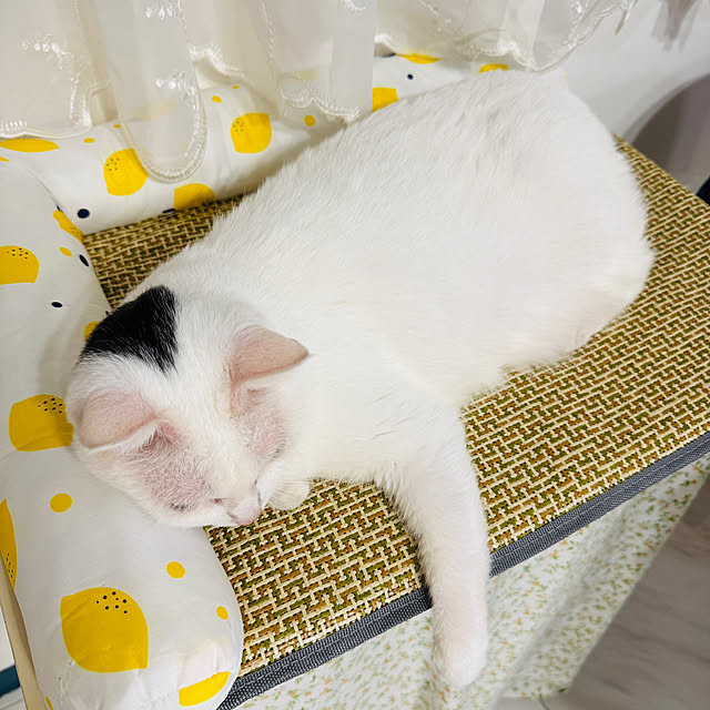 pcu110さんの部屋