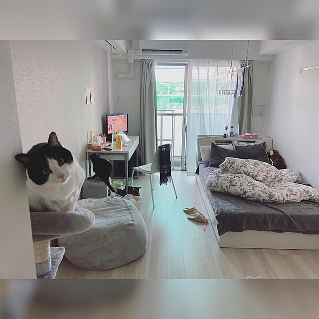 pochiさんの実例写真