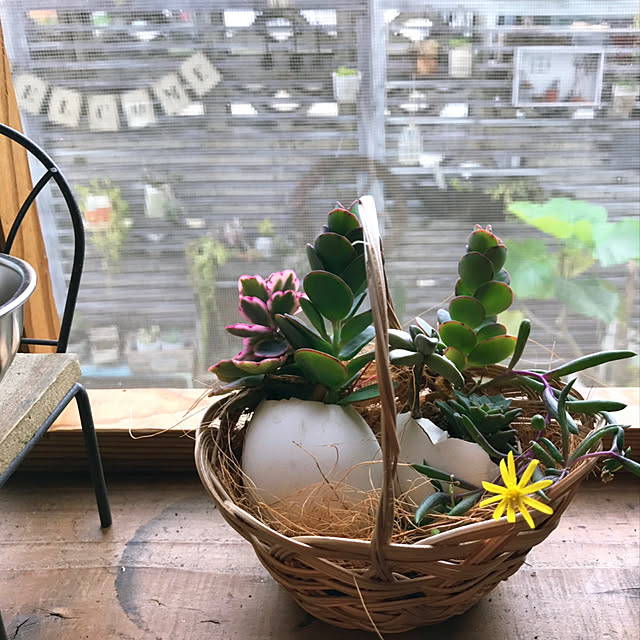 coraruさんの実例写真