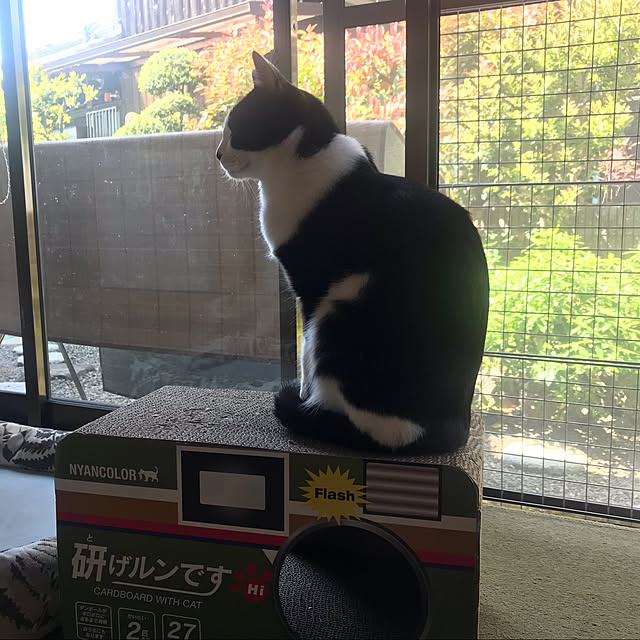 makko.keiさんの実例写真