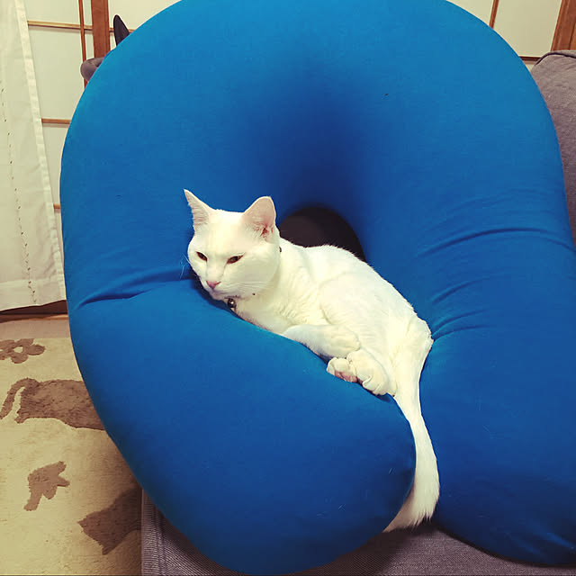 moyuhiさんの実例写真