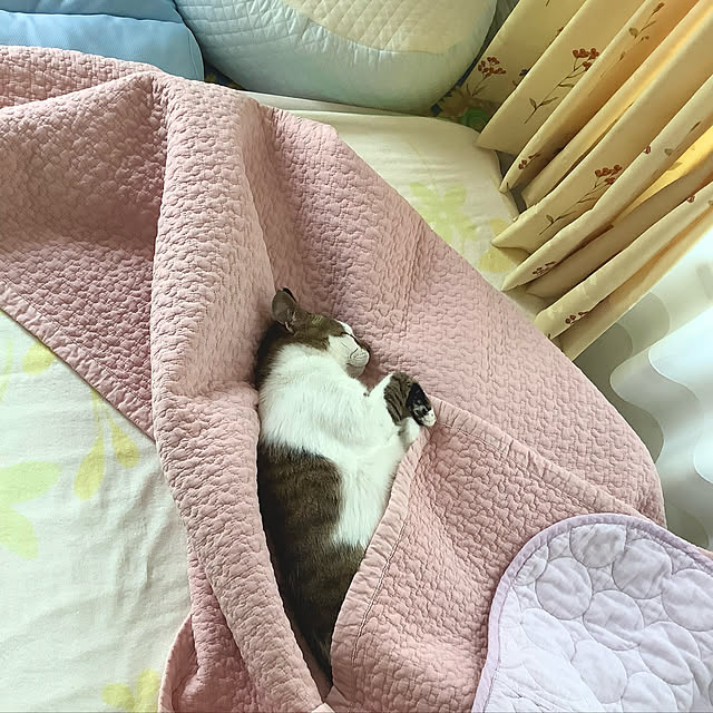 haruminさんの実例写真