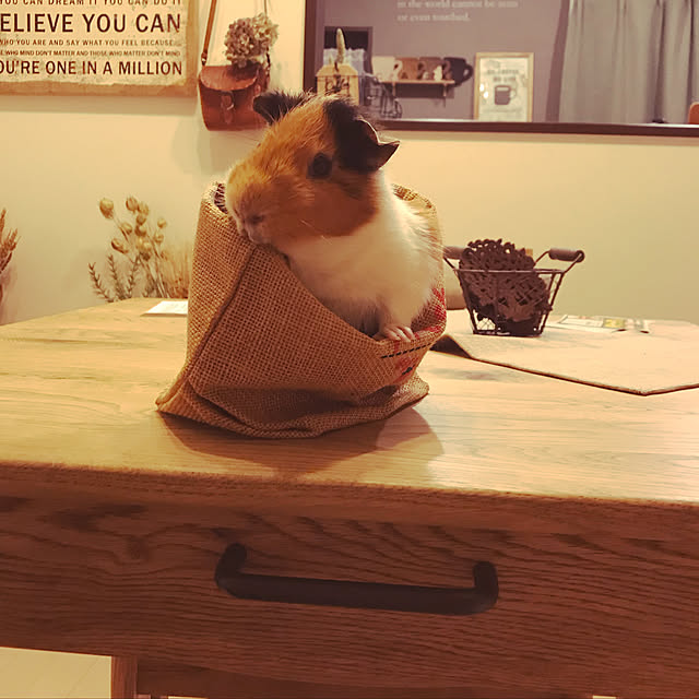 Browncafeさんの実例写真