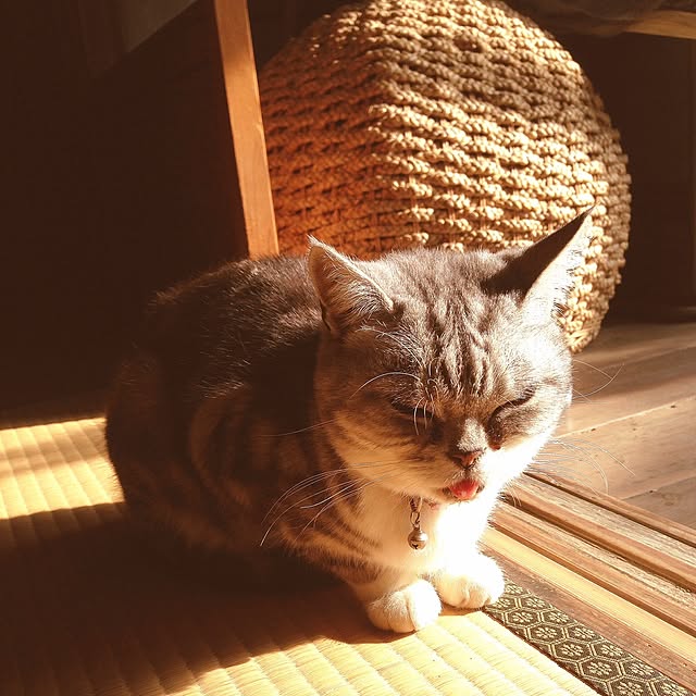 booooono_poofさんの実例写真