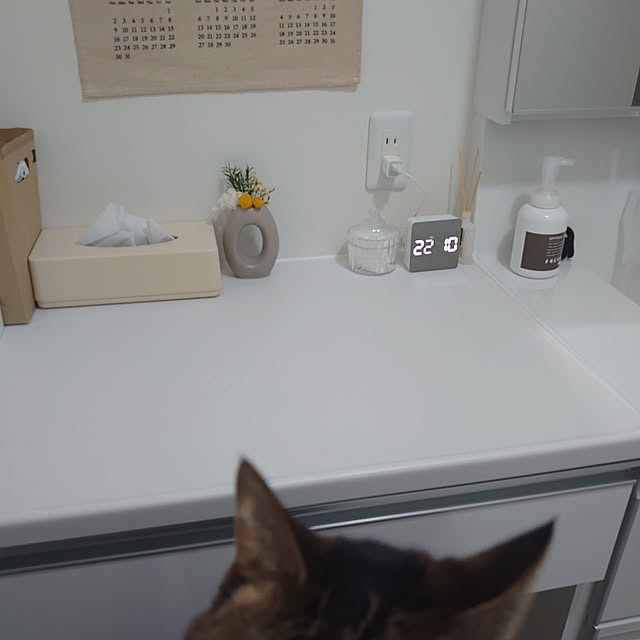 ninimomoさんの実例写真