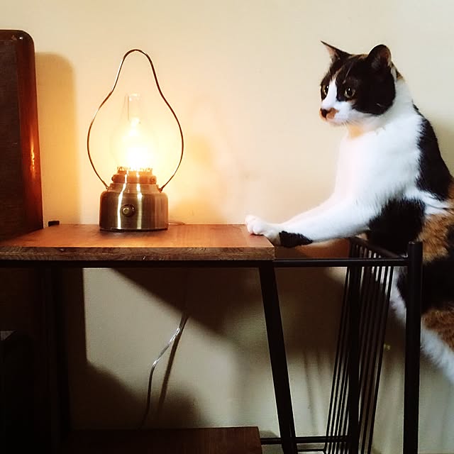 eikinukoさんの実例写真