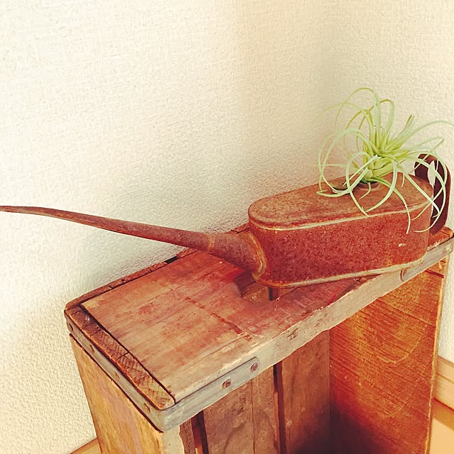 ichiさんの実例写真