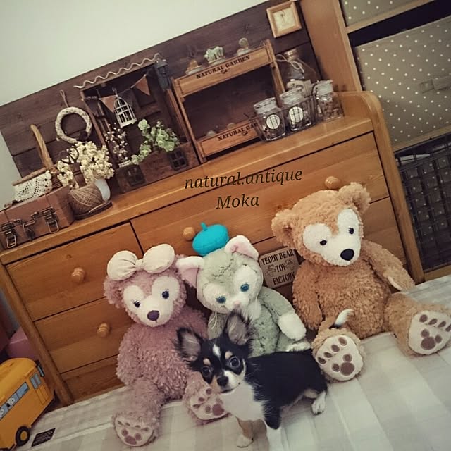 Mokaさんの実例写真