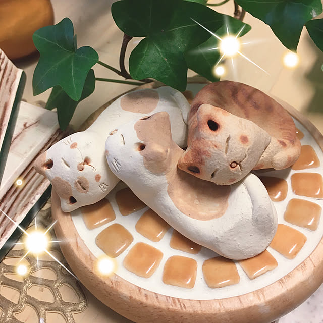 oasisさんの実例写真