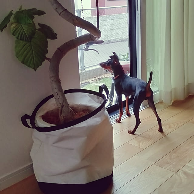 khh.kさんの実例写真