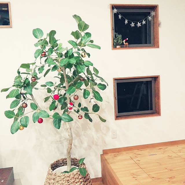 cocoさんの実例写真