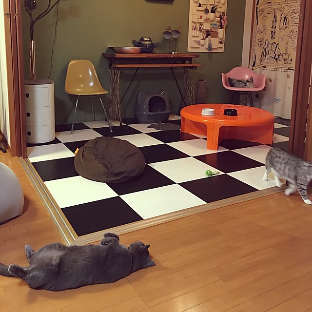 Shojiさんの実例写真