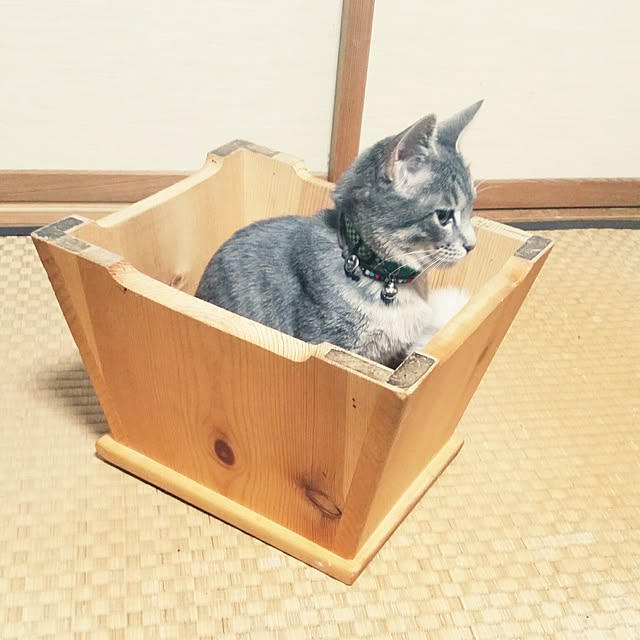 oyumiさんの実例写真