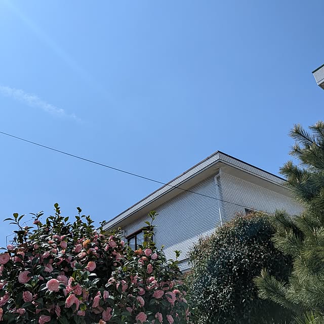 Mayumi8888さんの部屋