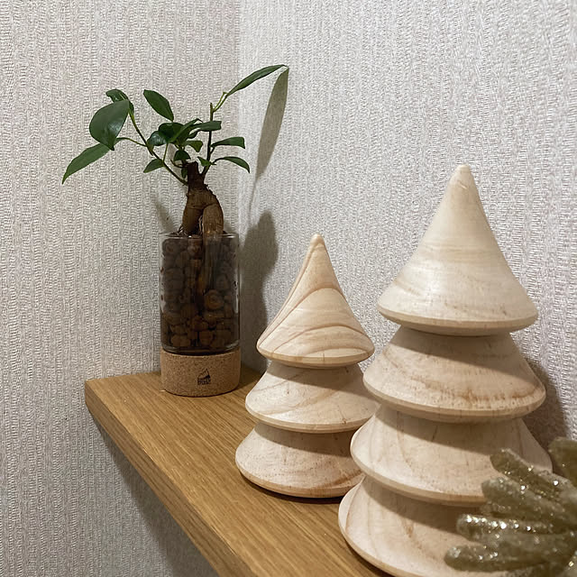 nepenthesさんの実例写真