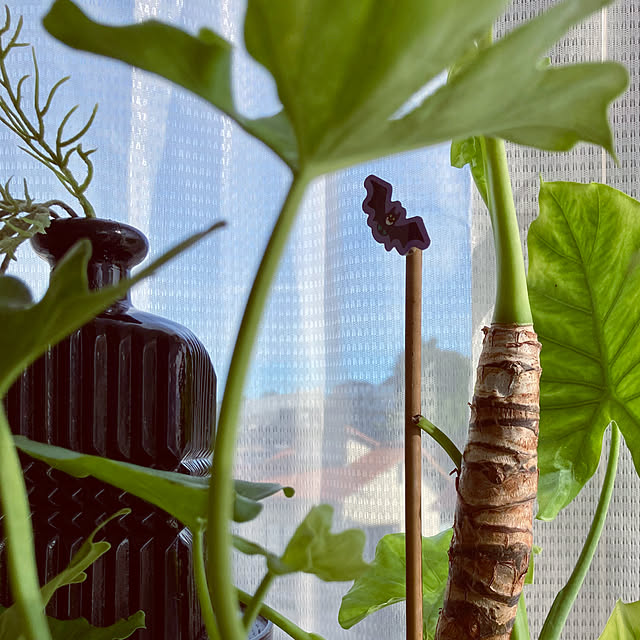 madamkaoriさんの部屋