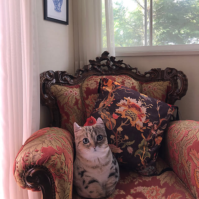 Toruさんの実例写真